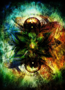 Kadınlar göz ve soyut arka plan ve süs mandala, bilgisayar kolaj.