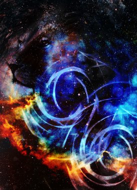 Aslan başı görkemli huzurlu ifade, ışık etkisi, ve galaxi ve yıldız ile alan. profil portre.
