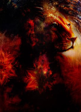 Aslan başı görkemli huzurlu ifade, ışık etkisi, ve süs mandala. profil portre.