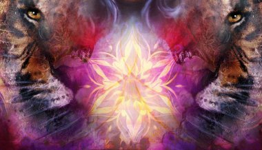 nazik portre kaplan. bilgisayar kolaj. Renk arka plan. Hayvan kavramı.