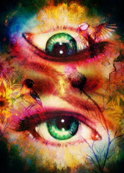 Зеленая богиня женщины глаза с птицами на многоцветном фоне зрительный контакт с мандала линейного орнамента . — стоковое фото