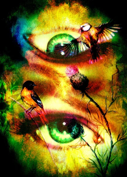 Diosa verde ojo de mujer con pájaros sobre fondo multicolor contacto visual con mandala adorno lineal . —  Fotos de Stock