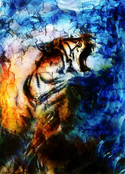 Doux tigre portrait. collage informatique. Couleur Fond abstrait. Concept animal . — Photo