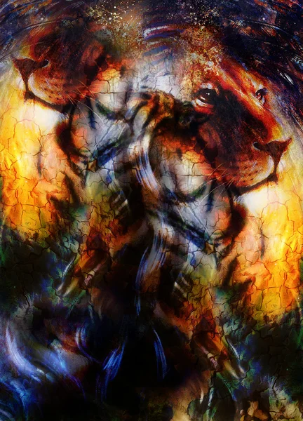Tête de lion avec une expression majestueusement paisible, un effet de lumière et une structure murale. portrait de profil . — Photo