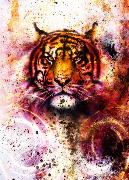 Tiger collage on color abstract  background,  rust structure, wildlife animals, computer collage. — Stock Photo, Image