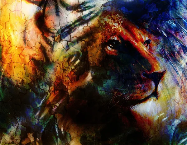 Ritratto leone, profilo ritratto, su sfondo colorato astratto. Collage astratto di colore con macchie . — Foto Stock