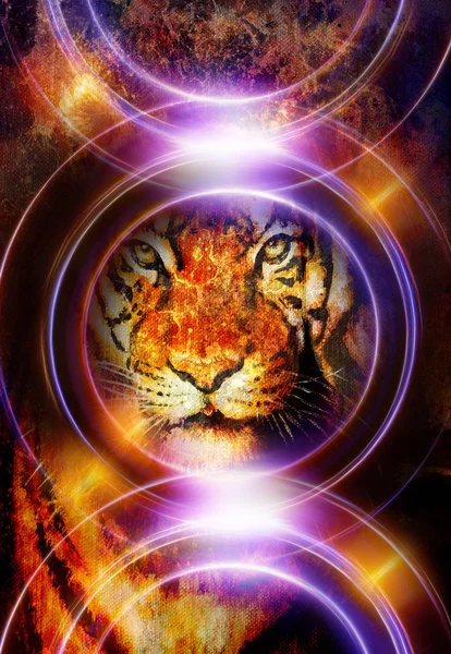 Τίγρη κολάζ στον αφηρημένο φόντο χρώμα και φως κύκλο, σκουριά δομή, άγρια ζώα, υπολογιστή κολάζ. — Φωτογραφία Αρχείου