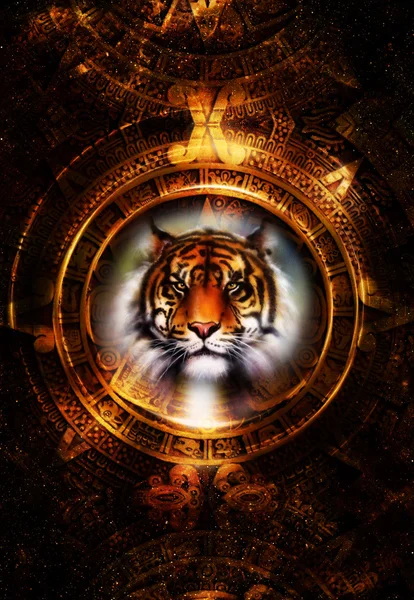 Ancient Mayan Calendar and Tiger head, abstract color Background, computer collage, Eye contact. — Stock Photo, Image