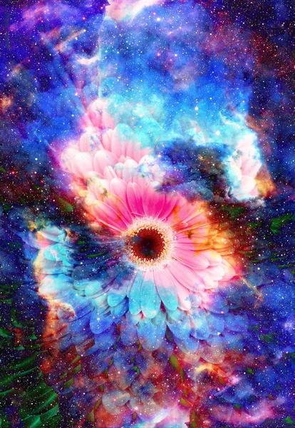 Espacio y estrellas con flor, fondo de galaxias de color, collage informático . — Foto de Stock