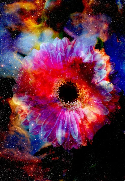 Espaço e estrelas com flor, fundo galaxi cor, colagem de computador . — Fotografia de Stock