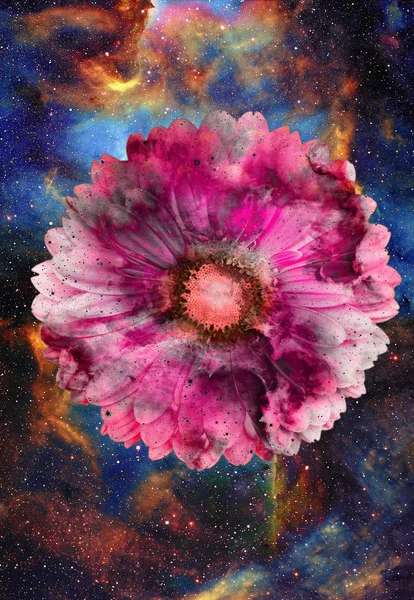 Spazio e stelle con fiore, colore sfondo galaxi, collage computer . — Foto Stock