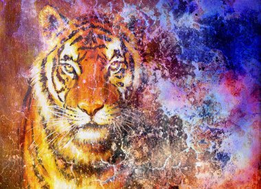  tiger head  in space with stars, computer collage.