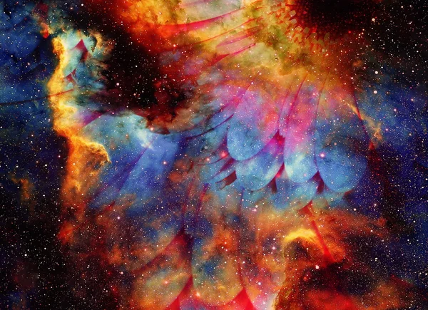 Spazio e stelle con fiore, colore sfondo galaxi, collage computer . — Foto Stock