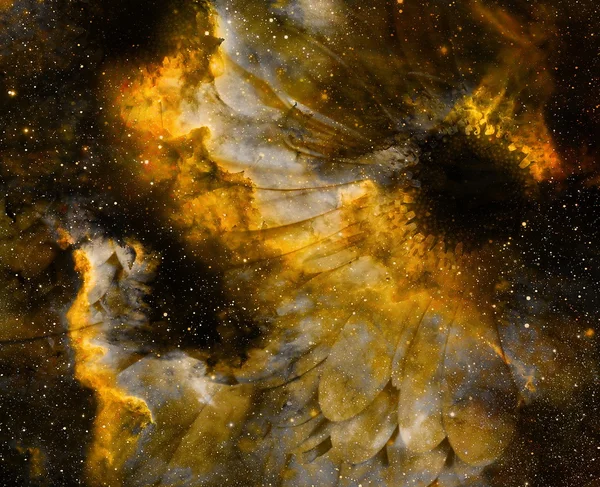 Espacio y estrellas con flor, fondo de galaxias de color, collage informático . —  Fotos de Stock