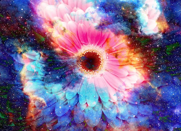 Простір і зірки з квіткою, кольоровий фон галактики, комп'ютерний колаж . — стокове фото