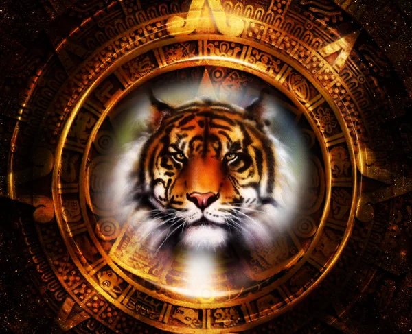 Ancient Mayan Calendar and Tiger head, abstract color Background, computer collage, Eye contact. Stock Photo