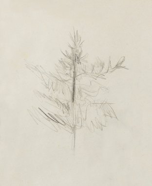 eski kağıt üzerinde Ladin kroki çizim kalem.