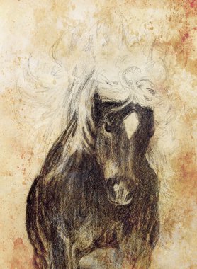 Eski kağıt üzerinde ve eski kalem at çizmek vintage kağıt yapısı.