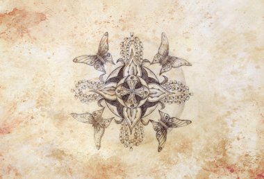 Original hand draw. Butterfly and ornamental mandala with flower and old vintage paper structure. computer collage.