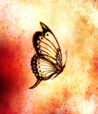 bir kelebek, karışık orta, soyut renkli arka planı gösteren resim.