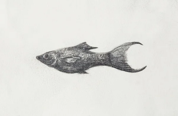 Le crayon dessine des poissons d'aquarium sur du vieux papier . — Photo