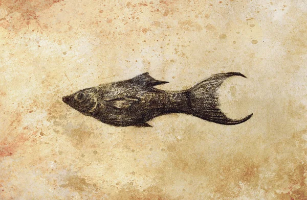 Le crayon dessine des poissons d'aquarium sur du vieux papier . — Photo