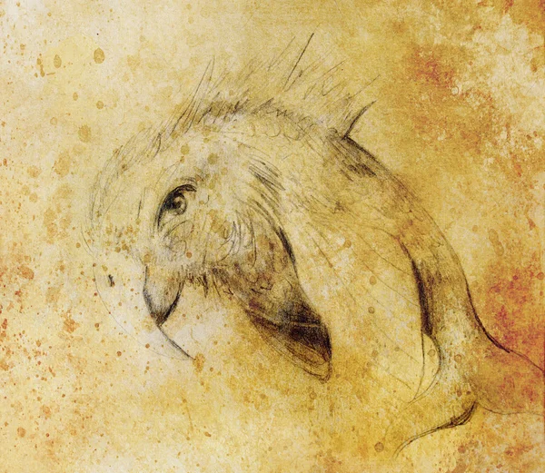 Карандашный рисунок на старой бумаге, фэнтези дельхин, связанный с попугаями. И цветные пятна на фоне. Цвет сепии . — стоковое фото