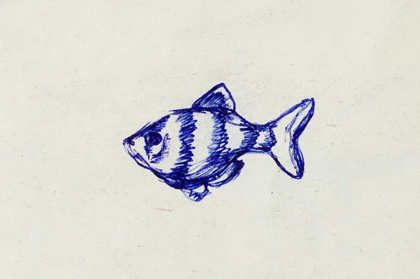 Der Stift zeichnet Aquarienfische auf altem Papier. — Stockfoto