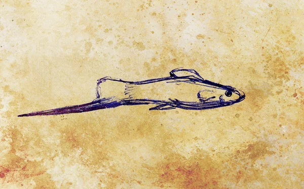 Akvaryum balık eski kağıt üzerine çizim kalem. — Stok fotoğraf