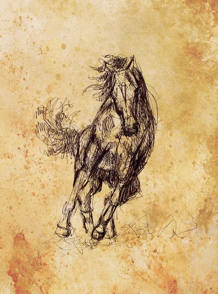 Draw pencil horse on old paper, And old vintage paper structure. — Stock Photo, Image