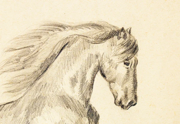 Kreslení tužkou koně na starý papír, originální ruční kreslení. — Stock fotografie