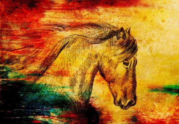 Disegnare cavallo matita su carta vecchia, disegno a mano originale . — Foto Stock