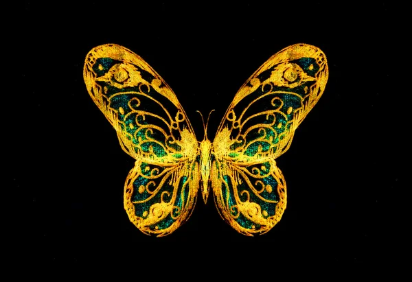 Light yellow and tirkys color butterfly on black bckground. — Stock Photo, Image