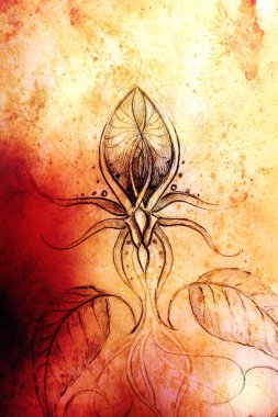 eski kağıt üzerine çizim kalem. Süs çiçek. Ve sepya rengi.