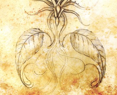 eski kağıt üzerine çizim kalem. Süs çiçek. Ve sepya rengi.