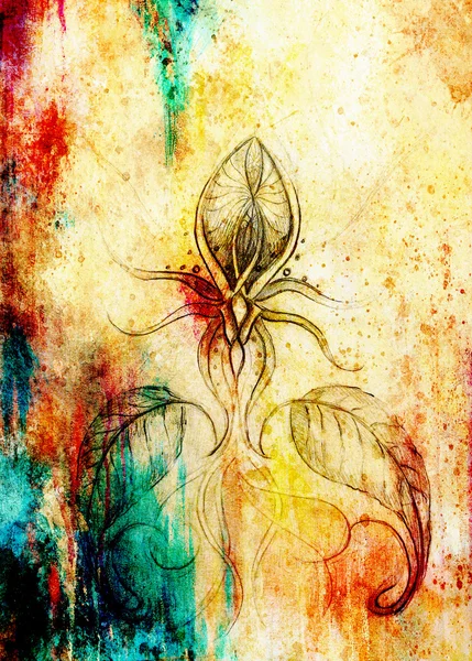 eski kağıt üzerine çizim kalem. Süs çiçek. Ve arka plan rengi lekeler.