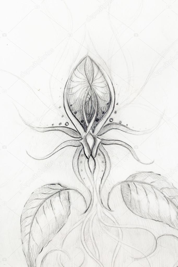 Crayon De Dessin Sur Papier Ancien Fleurs Ornementales