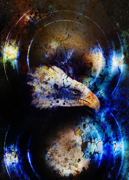 Eagle in cosmic space and light circle. original painting collage.  Animal concept, Profile portrait. Winter effect and blue color and desert crackle. — Stock Photo, Image