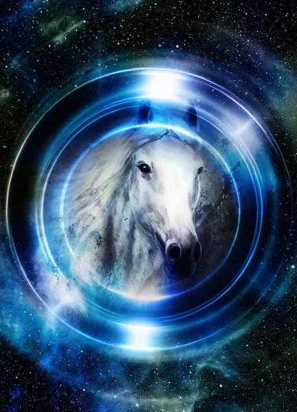 Caballo en el espacio, en círculo de luz. Espejo en el planeta Tierra. Concepto animal, efecto invierno y color azul . — Foto de Stock