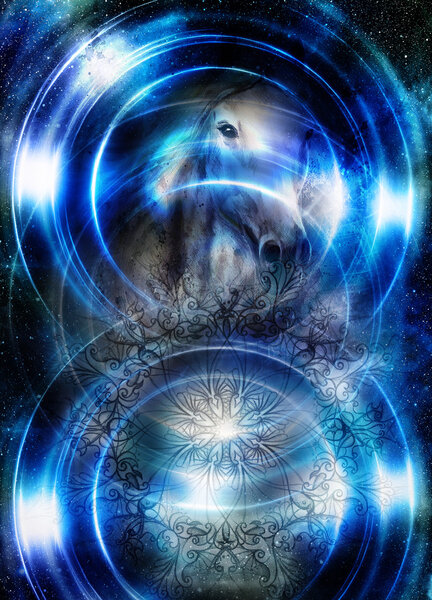 Horse in space with ornamental mandala. Mirror on the planet Earth. Animal concept, Profile portrait. Winter effect and blue color