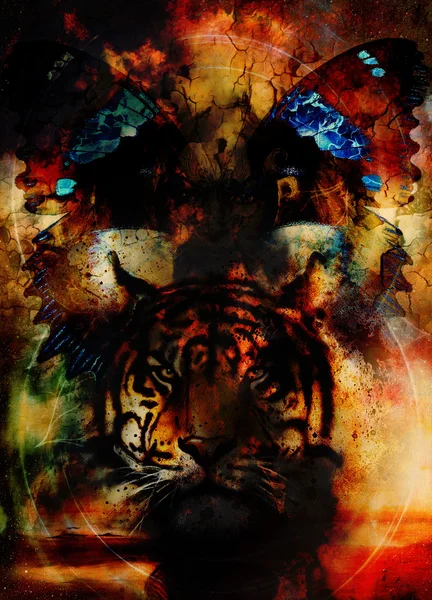 Tiger and butterfly. Painting collage and desert crackle. — Stock Photo, Image