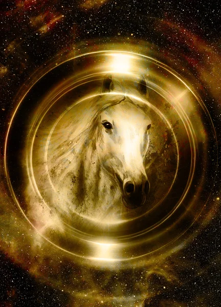 Koně v prostoru, v kruhu světla. Zrcadlo na planetě Zemi. Zvířecí koncept, sépie a světle zlaté barvy. — Stock fotografie