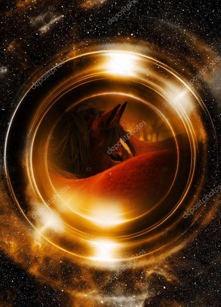 planet horse free planet horse free