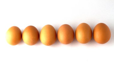 Beyaz arkaplanda yumurtalar