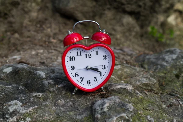 빨간 시계 — 스톡 사진
