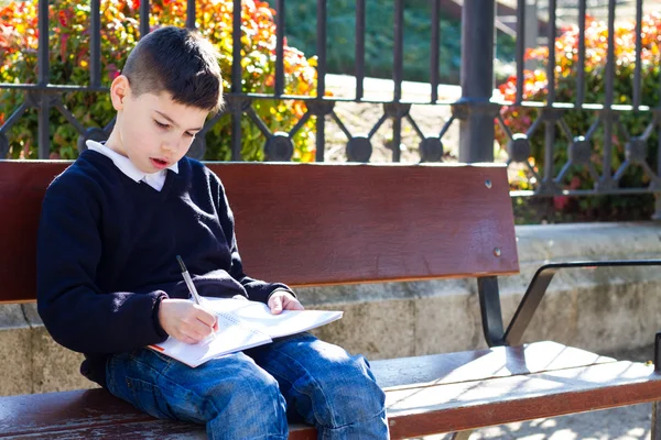 男孩在公园里做家庭作业 — 图库照片