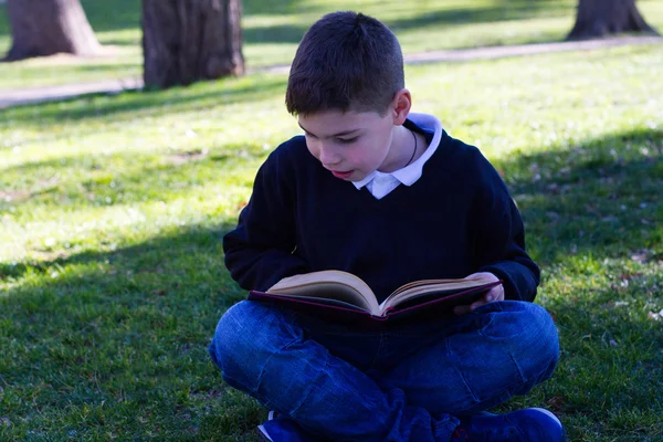 Ragazzo interessato a un libro — Foto Stock