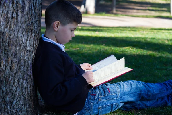 Étudiant assis près d'un arbre avec un livre — Photo