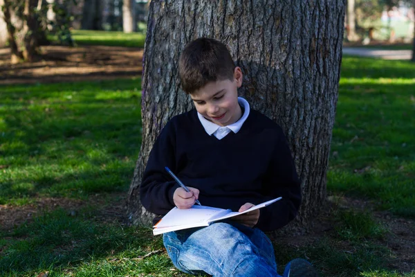 Ragazzo seduto su un albero — Foto Stock