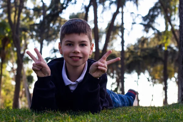 草の上に横たわると、笑みを浮かべて少年 — ストック写真